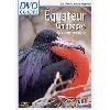 dvd equateur / galapagos - la pureté originelle