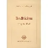 livre bodhicitta - l'esprit d'eveil