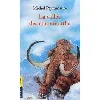 livre la vallée des mammouths