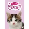 livre le club des chatons - numéro 4 plume
