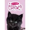 livre le club des chatons - tome 6 - filou