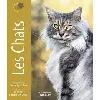 livre les chats - portraits d'animaux