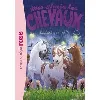 livre mes amis les chevaux - tome 40 - la clairière ensorcelée