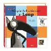 livre mes plus belles histoires de loup - le loup qui avait peur de son ombre et autres histoires