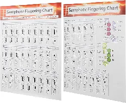 livre migraines maux tete dervaux