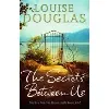 livre the secrets between us
