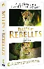 dvd coffret belles et rebelles