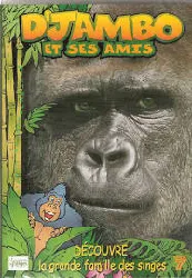 dvd d'jambo et ses amis