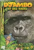dvd d'jambo et ses amis