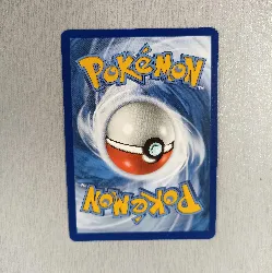 carte pokémon branette tg07/tg30