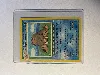 carte pokémon cochignon lumineux 26/105 -fr