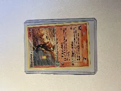 carte pokémon démolosse team magma 34/95 -fr