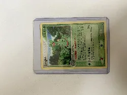 carte pokémon jungko 20/109 -fr