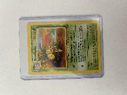 carte pokémon noadkoko 35/64 -fr