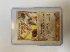 carte pokémon rhinocorne de team magma 38/95 -fr