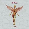 cd in utero ((30th anniversary édition limitée deluxe coffret) - album