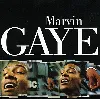 cd marvin gaye - marvin gaye (1996)
