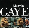 cd marvin gaye - marvin gaye (1996)