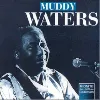 cd muddy waters - mannish boy