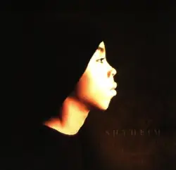 cd shyheim - a.k.a. the rugged child (1997)