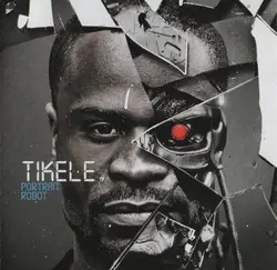 cd tikele - portrait robot (2010)