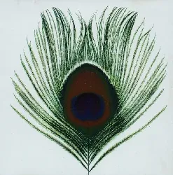 cd xtc - apple venus volume 1 (1999)