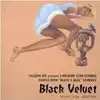 cd yasushi ide presents lonesome echo strings - black velvet - purple noon  (1999)