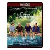 dvd le coeur des hommes - hd - dvd