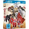 dvd queens blade