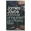 livre a portrait of the artist as a young man