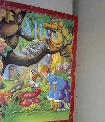 livre alice (les plus beaux contes)