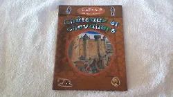 livre chateaux et chevaliers - le sais - tu 100 infos a decouvrir