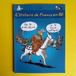 livre l'histoire de france en bd: de la préhistoire à la gaule celtique