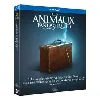 blu-ray les animaux fantastiques - blu - ray