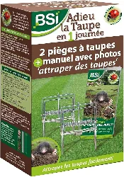 bsi adieu la taupe en 1 journée 2 piège professionnels