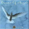 cd dreams of angels