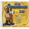 cd hits des discotheques vol 13