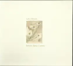 cd luka bloom - before sleep comes (2004)