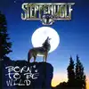 cd steppenwolf - born to be wild (1999)