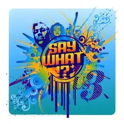 cd us3 - say what!? (2007)