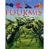 livre les fourmis
