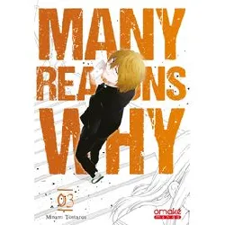 livre many reasons why - tome 3 (vf)
