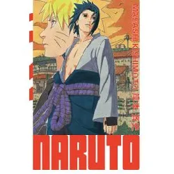 livre naruto - edition hokage - tome 19