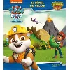 livre paw patrol la pat' patrouille - le réveil du volcan - dino rescue