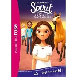 livre spirit 17 - gare au bandit !