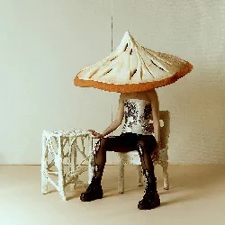 vinyle consolation - pomme