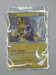carte pokemon raikou hgss19