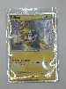 carte pokemon raikou hgss19