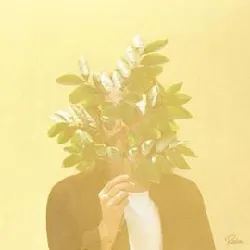 cd french kiwi juice