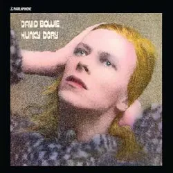 cd hunky dory